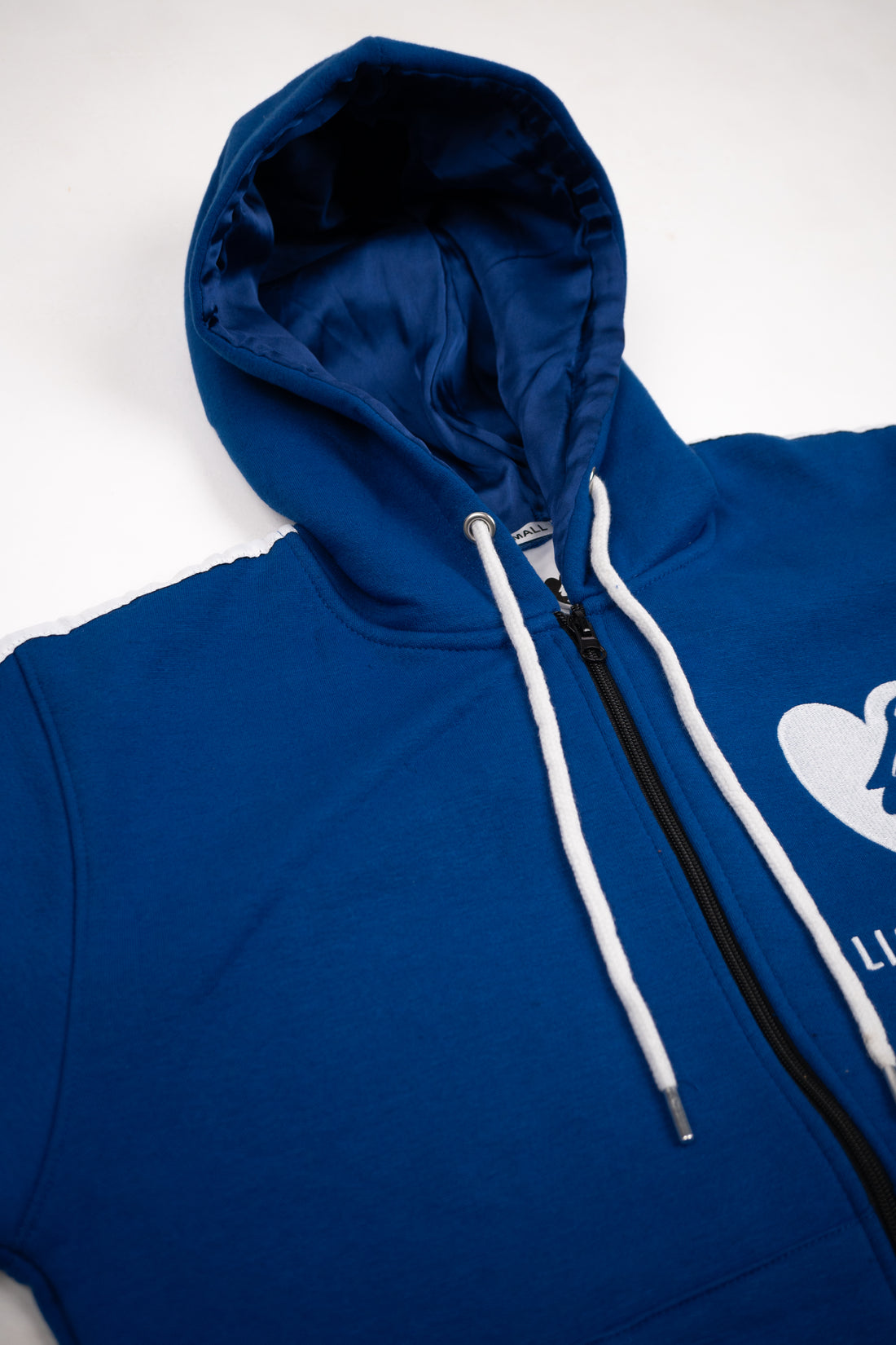 Lion Hearted Hoodie