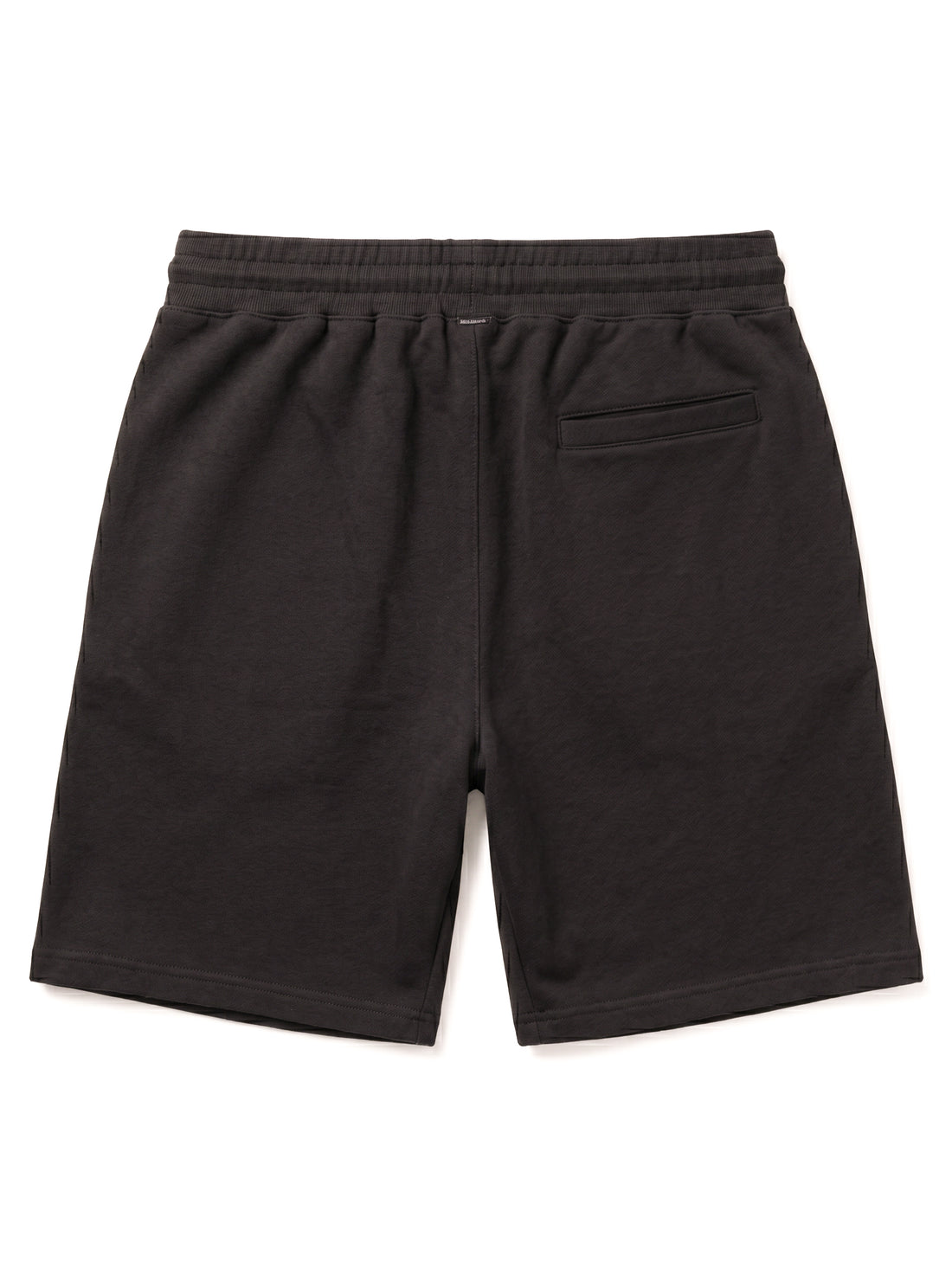 Ames fideles Black